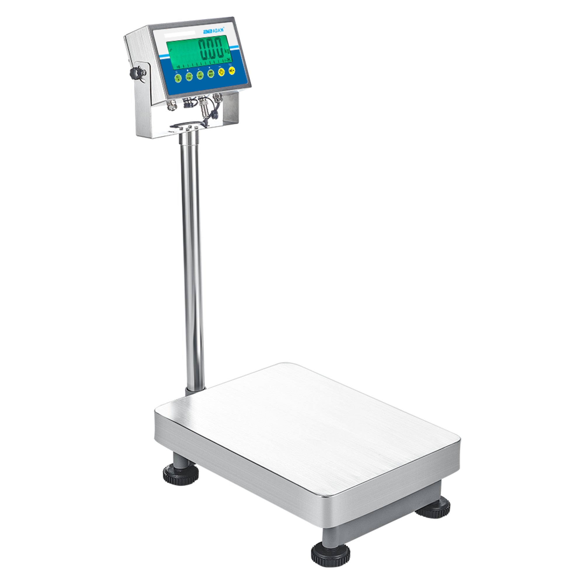 Adam Equipment AGBM & AGFM Approved Bench and Floor Scales
