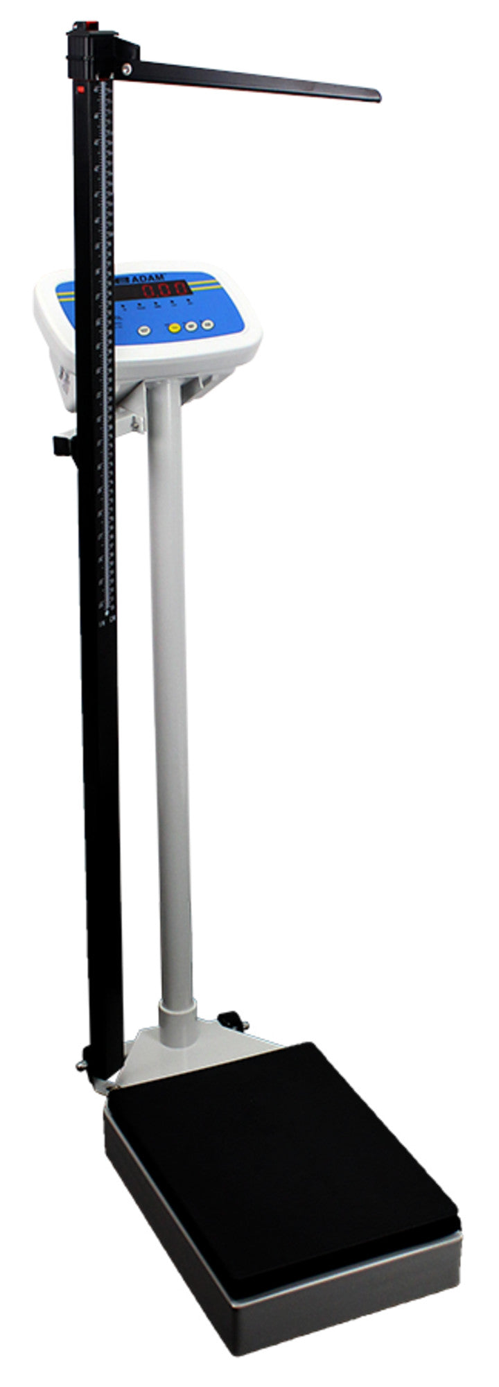 Adam Equipment MDW Digital Fitness Scales