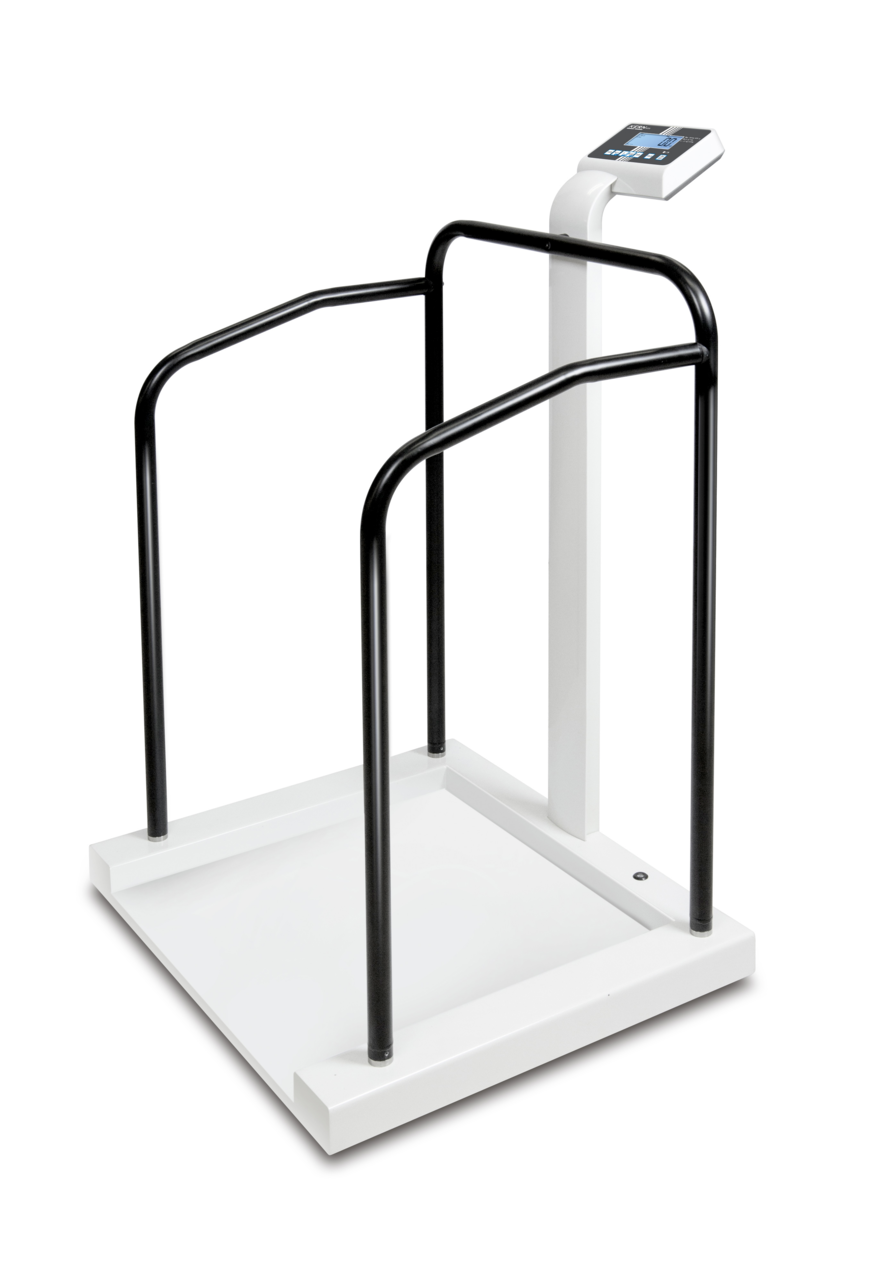 Kern MTA Handrail Scales - GNW Instrumentation