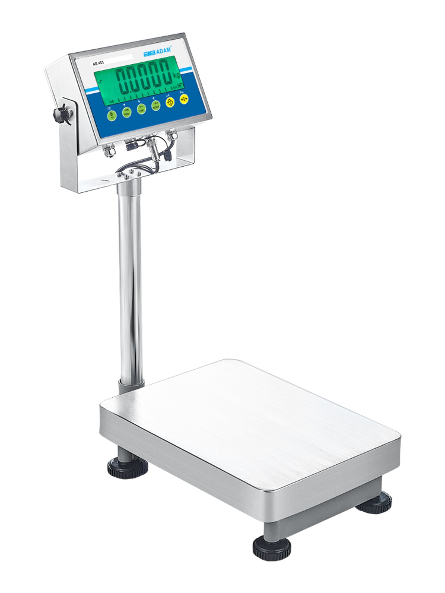 Adam Equipment AGB & AGF Bench and Floor Scales