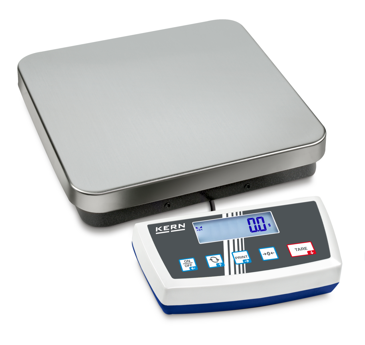 Kern DS Platform Scales - GNW Instrumentation
