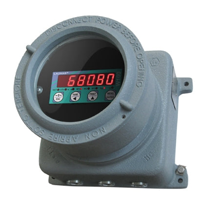Laumas ADPE W100RIP ATEX Remote Display - GNW Instrumentation