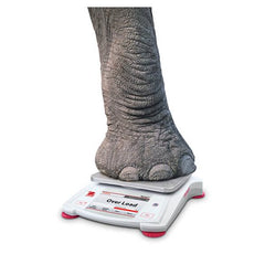 Ohaus Scout STX Bench Scales