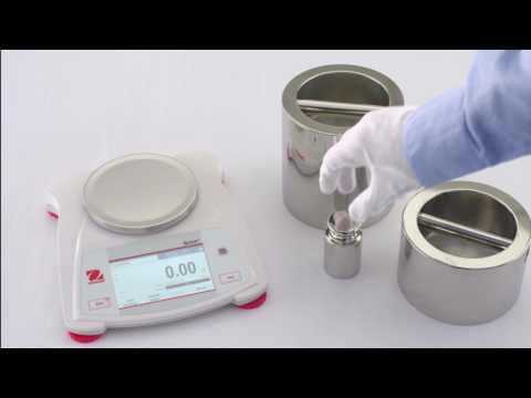 Ohaus Scout STX Bench Scales