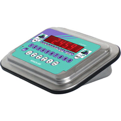 Laumas WDESK-BR Weight Indicator - GNW Instrumentation